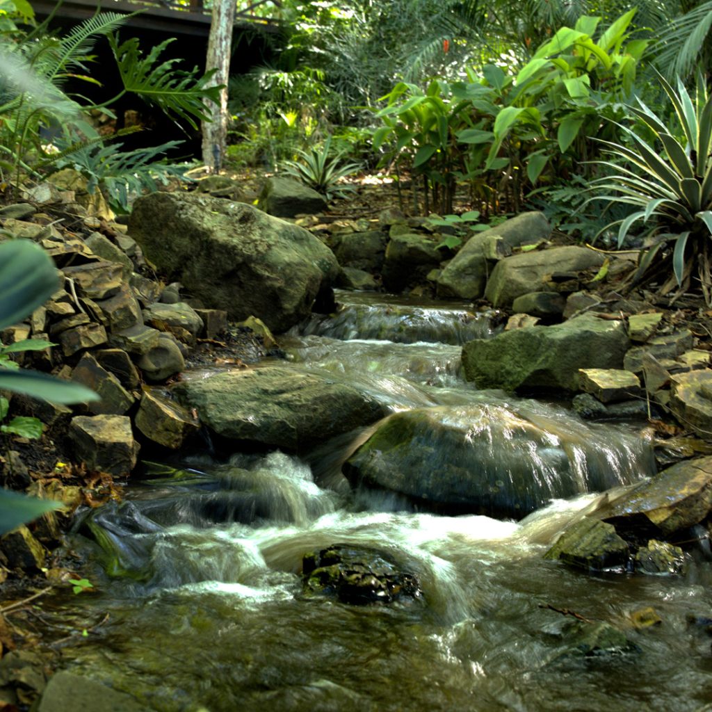 Cala Azul view from stream to the Yoga Pavilion